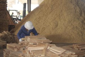 Doanh nghiệp chủ động thích ứng trước tác động từ căng thẳng Nga - Ukraine