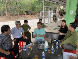 Trồng rừng gỗ lớn cho lợi nhuận tốt