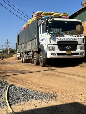 Doanh nghiệp vận tải tìm cách khắc phục khó khăn