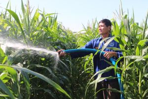 Mang điện ra đồng cho nông dân