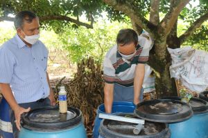Nông dân tự làm phân, thuốc trong sản xuất