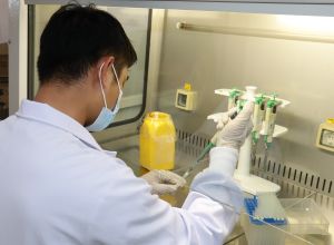 Triển khai đồng bộ, hiệu quả về phòng, chống dịch COVID-19