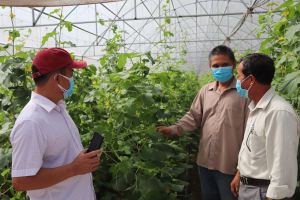 Phát triển nông nghiệp hữu cơ trong giai đoạn mới