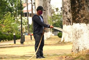 Rà soát việc sắp xếp bộ máy cơ quan chuyên môn và các đơn vị sự nghiệp công lập