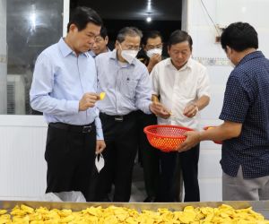 Đồng chí Nguyễn Hồng Lĩnh khảo sát một số cơ sở sản xuất kinh doanh tại Định Quán