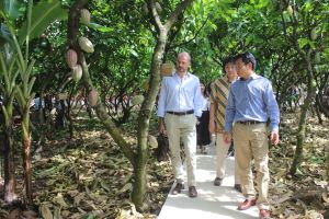 Xây dựng nền nông nghiệp sinh thái đa giá trị