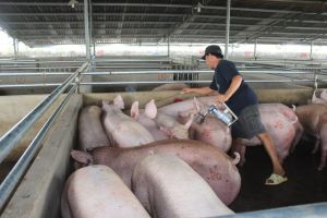 Xóa bỏ thực trạng nông nghiệp “mù mờ”