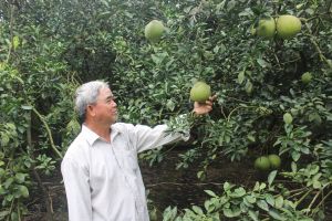 Quy hoạch gần 750 ha đất cho dự án nông nghiệp