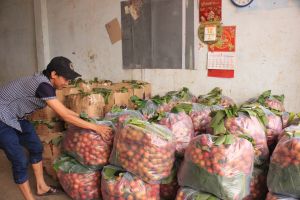 Doanh nghiệp chưa mặn mà đầu tư chuỗi liên kết