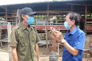 Cựu chiến binh giúp nhau vượt khó, làm giàu ở xã Bàu Trâm