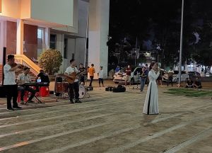Biểu diễn âm nhạc, nghệ thuật tại thiết chế văn hóa