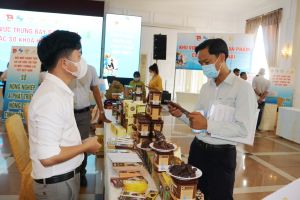 Thế hệ trẻ cần hiểu rõ hơn tầm quan trọng trong việc bảo hộ các quyền Sở hữu trí tuệ