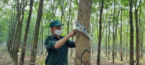 Công nhân tích cực lao động sáng tạo