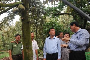 Xây dựng nông thôn hiện đại