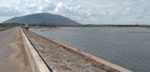 “Nóng” vi phạm về đất đai bảo vệ công trình thủy lợi