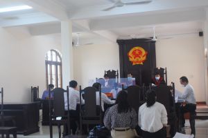 Án tranh chấp đất đai phức tạp