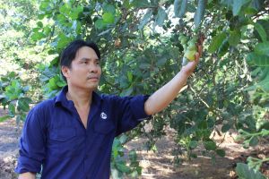 Nâng chất chương trình khuyến nông giai đoạn 2021-2025