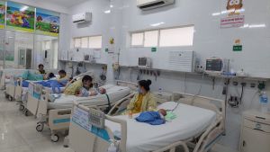 Dịch sốt xuất huyết vào mùa