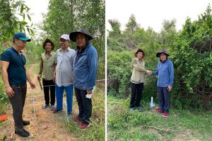 Hòa giải - phát huy quyền tự định đoạt của đương sự