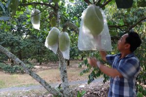 Tiếp thị chính sách kịp thời đến nông dân