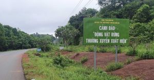 Tiếp tục di dời hơn 200 hộ dân khỏi vùng lõi Khu bảo tồn thiên nhiên - văn hóa Đồng Nai