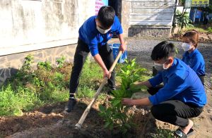 Ra quân hưởng ứng Tết trồng cây đời đời nhớ ơn Bác