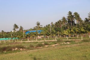 Nhiều rào cản cho sản xuất lớn