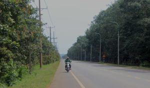 Cấp giấy chứng nhận quyền sử dụng đất cho các nông trường cao su