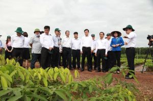 Tái cấu trúc mô hình hoạt động để phù hợp với thực tế