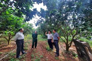 Kinh tế tập thể đóng góp tích cực vào sự phát triển của tỉnh