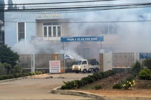 Chủ động phòng, chống dịch sốt xuất huyết