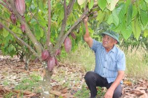 Thoát lời nguyền manh mún, nhỏ lẻ trong sản xuất nông nghiệp