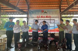 Đoàn viên thanh niên góp sức phát triển ngành nông nghiệp và xây dựng nông thôn mới