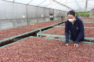 Xây dựng hệ sinh thái cho sản xuất lớn