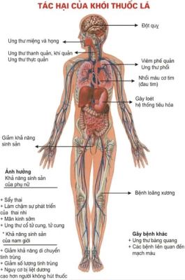 Đẩy mạnh tuyên truyền tác hại của thuốc lá
