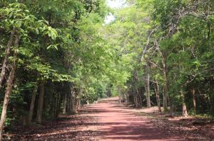 Huyện Vĩnh Cửu giảm gần 5,7 ngàn ha đất nông nghiệp