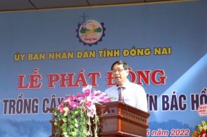 UBND tỉnh phát động Tết trồng cây đời đời nhớ ơn Bác Hồ