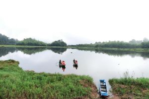 Nhiều thách thức trong bảo vệ đa dạng sinh học vùng đất ngập nước Bàu Sấu