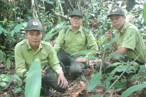 Vượt khó, giữ rừng vùng giáp ranh