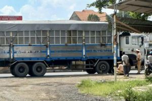 Xử lý nghiêm các vi phạm về giao thông