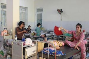 Khẩn trương dập dịch sốt xuất huyết