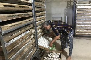 Trứng gia cầm “sốt” giá