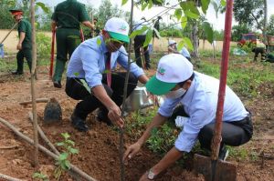 TP.Biên Hòa: trồng hơn 212 ngàn ha cây xanh