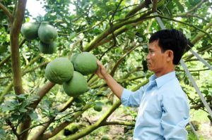 Cho vay xây dựng nông thôn mới ước đạt 90,7 ngàn tỷ đồng