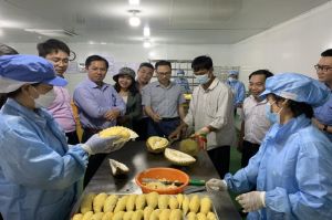 Xuân Lộc mong được tiếp sức trong xây dựng nông thôn mới kiểu mẫu