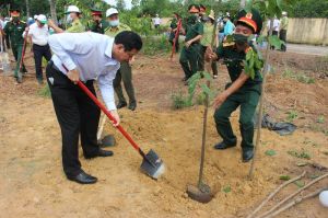 Hiện thực hóa mục tiêu trồng 20 triệu cây xanh