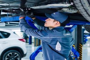 6 doanh nghiệp có sản phẩm đạt Thương hiệu quốc gia Việt Nam
