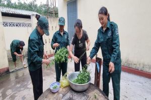 Tình nghĩa xóm trọ