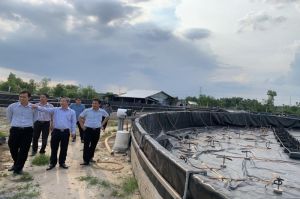 Đánh thức tiềm năng thủy sản nước lợ của tỉnh