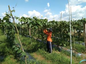 Ngăn chặn người trẻ sa chân vào ma túy